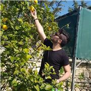 Lezioni di fisica generale